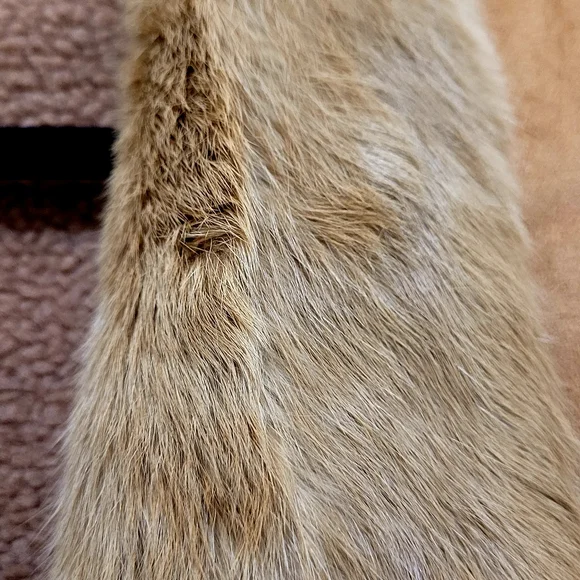 Jacket - Picture 3 of 11